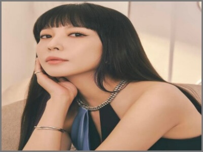 BOA,画像